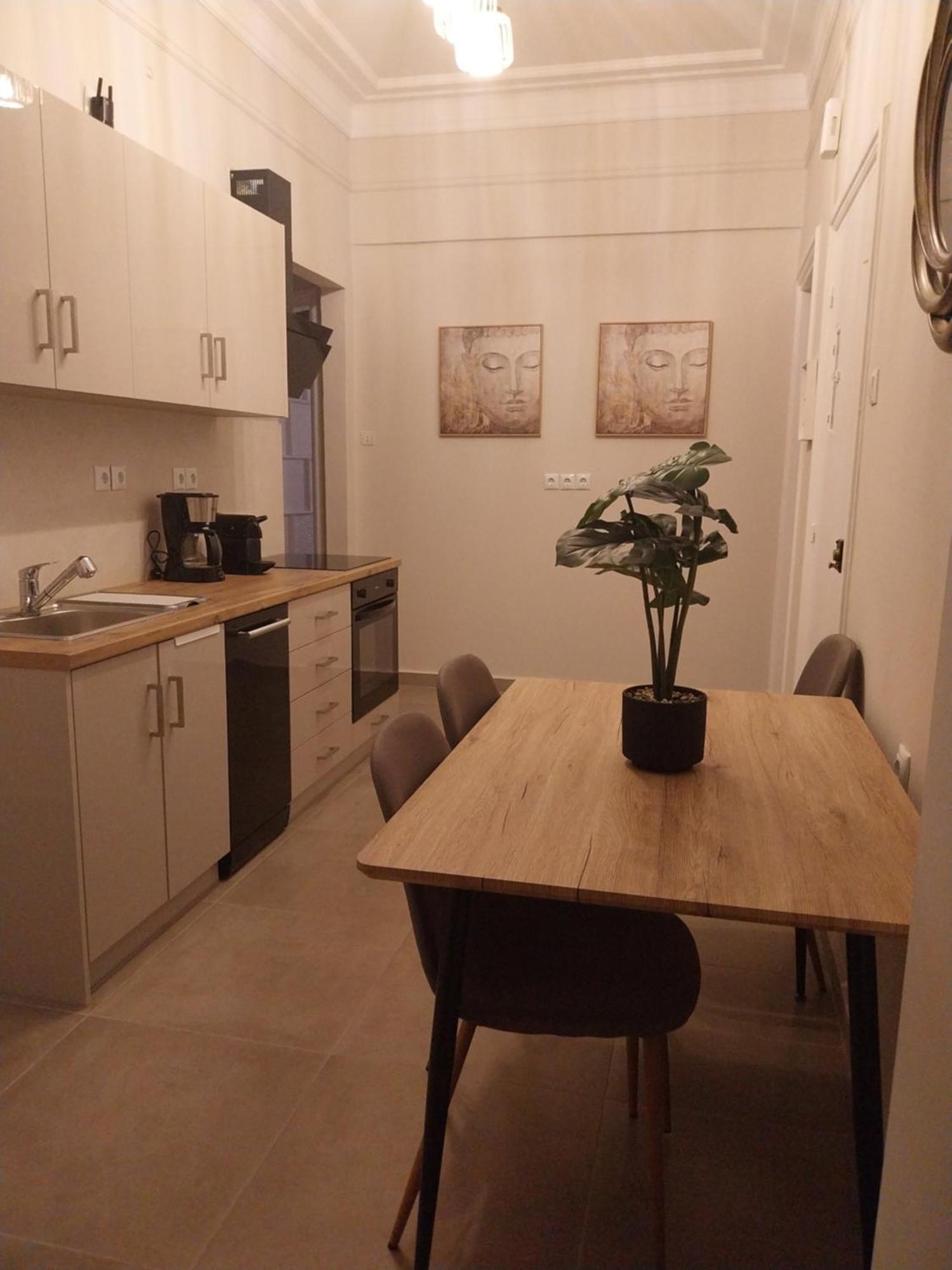 Athens Lovely Apartment Atenas Exterior foto